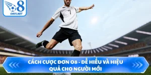 Cách Cược Đơn O8 - Dễ Hiểu Và Hiệu Quả Cho Người Mới