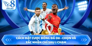 Cách Đặt Cược Bóng Đá O8 - Chọn Và Xác Nhận Chỉ Sau 1 Chạm