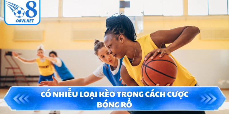 Có nhiều loại kèo trong cách cược bóng rổ