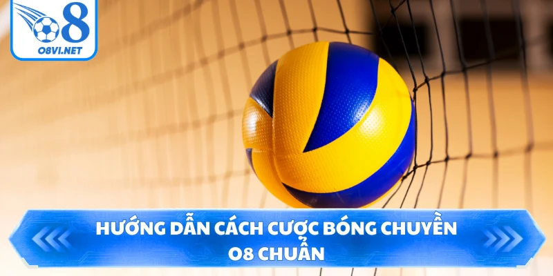 Hướng dẫn cách cược bóng chuyền O8 chuẩn