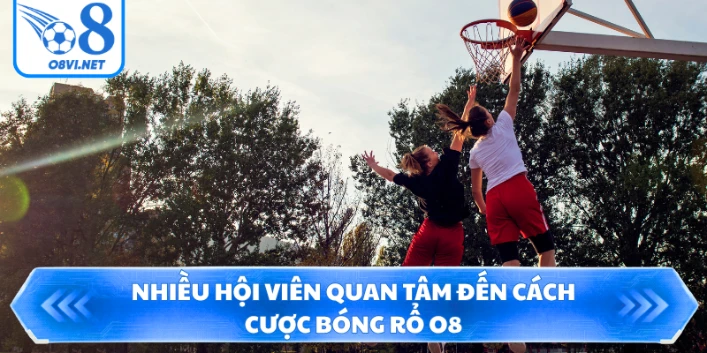 Nhiều hội viên quan tâm đến cách cược bóng rổ O8
