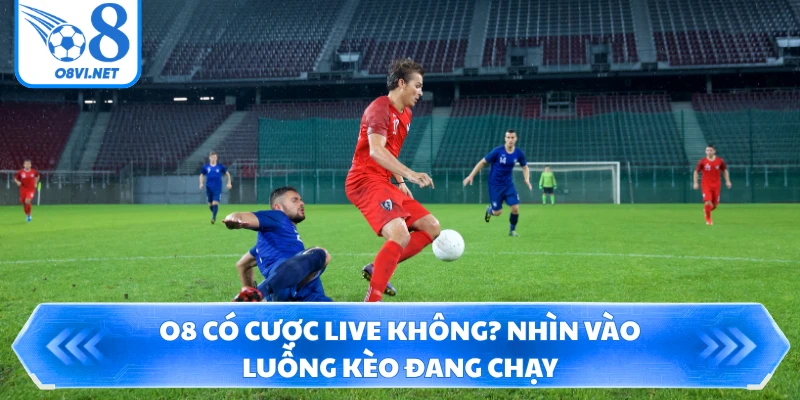 O8 có cược Live không? Nhìn vào luồng kèo đang chạy
